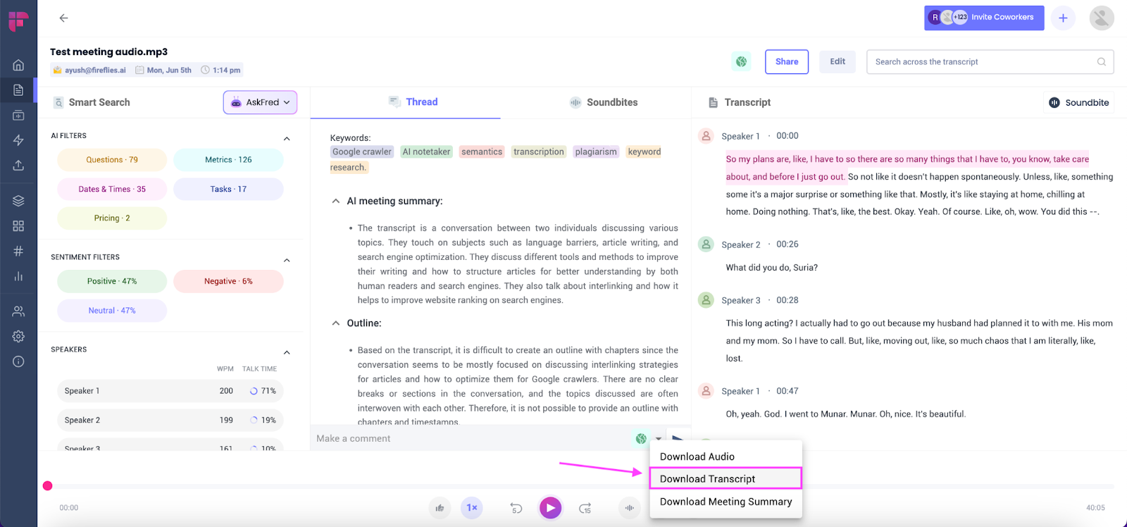 Fireflies AI meeting summary example
